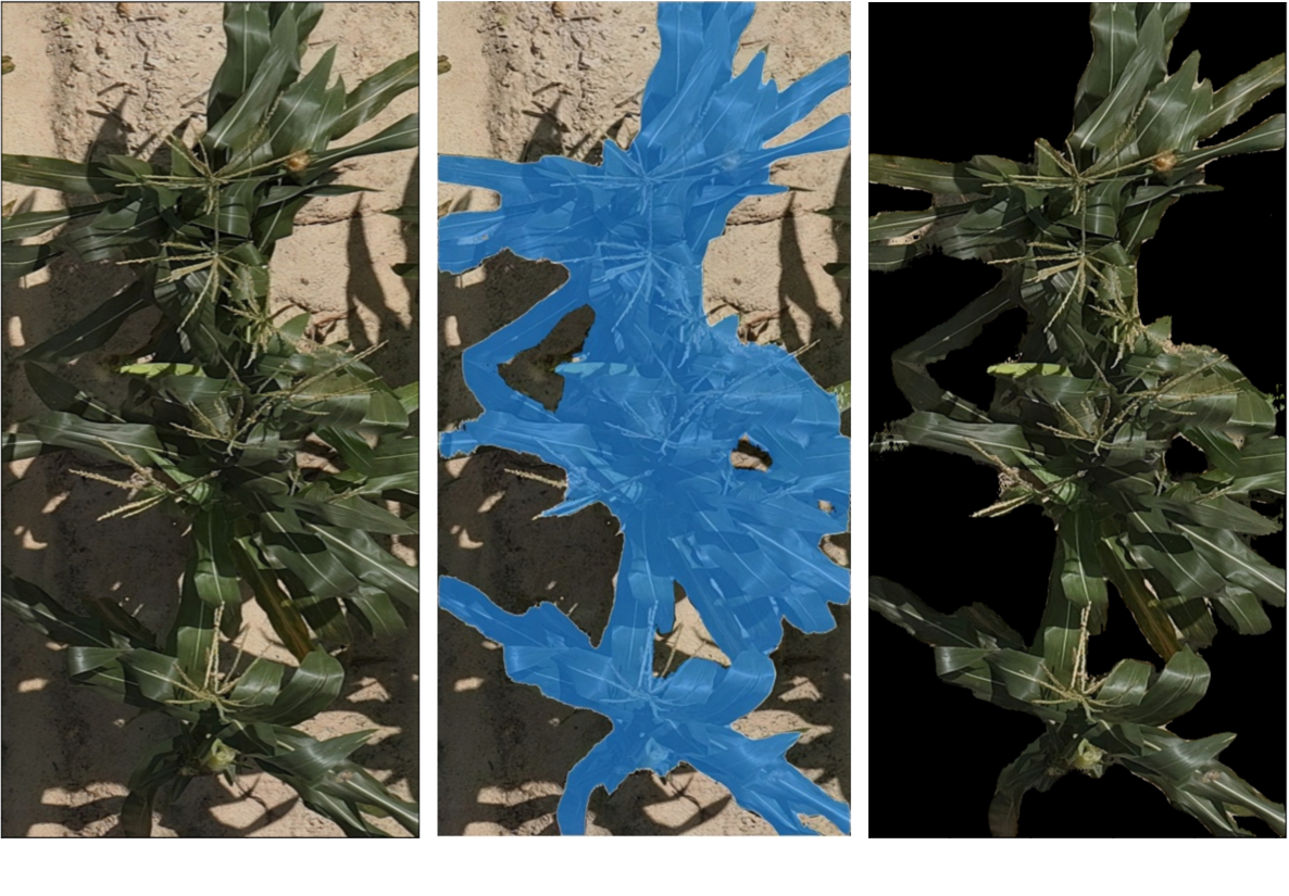 Corn Image Filtering